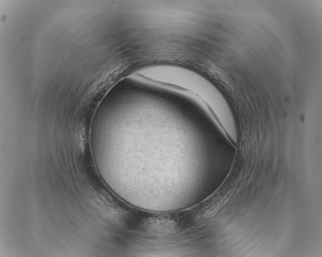 X0000089360644200707061050