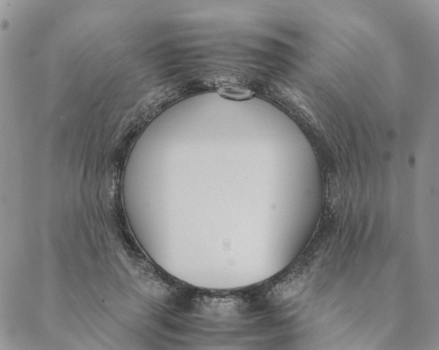 X0000089360645200707061050