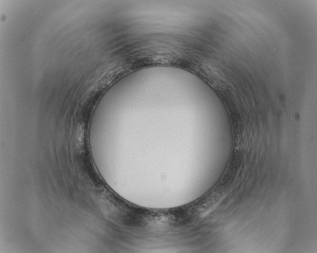 X0000089360646200707061050