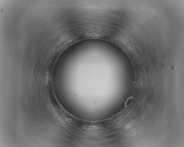 X0000089360647200707061050