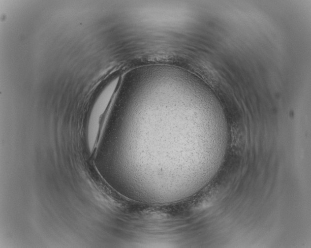 X0000089360648200707061050