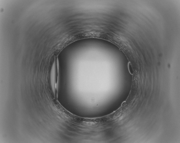 X0000089360649200707061050