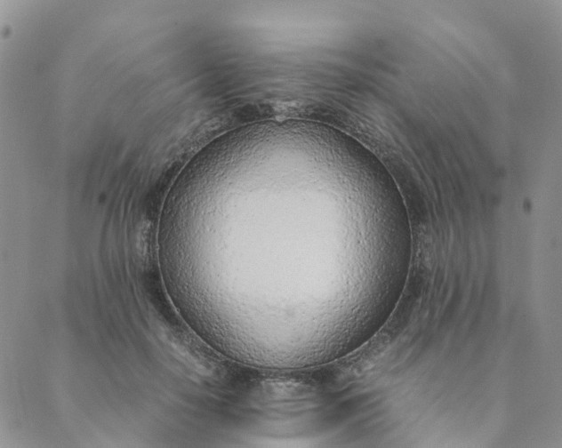 X0000089360650200707061050