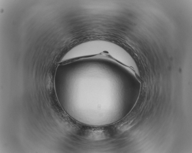 X0000089360651200707061050