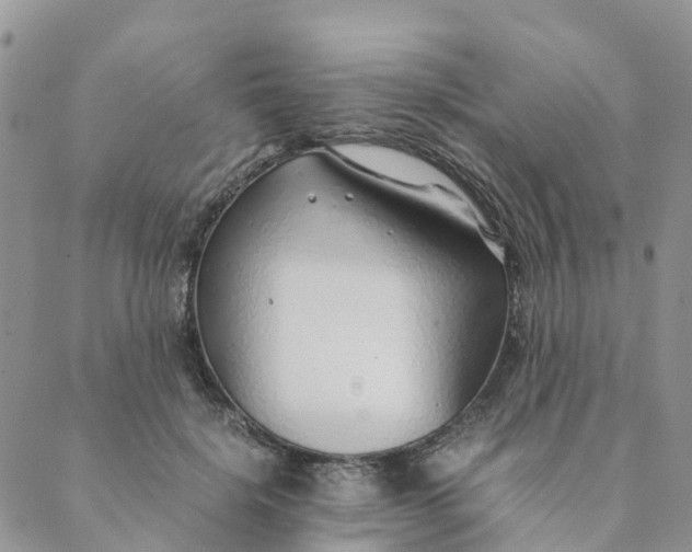 X0000089360652200707061050