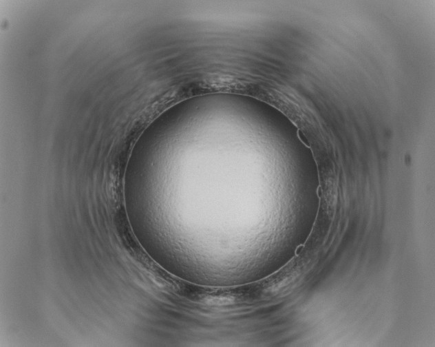 X0000089360653200707061050