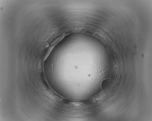 X0000089360654200707061050