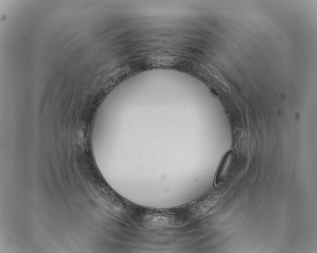 X0000089360655200707061050