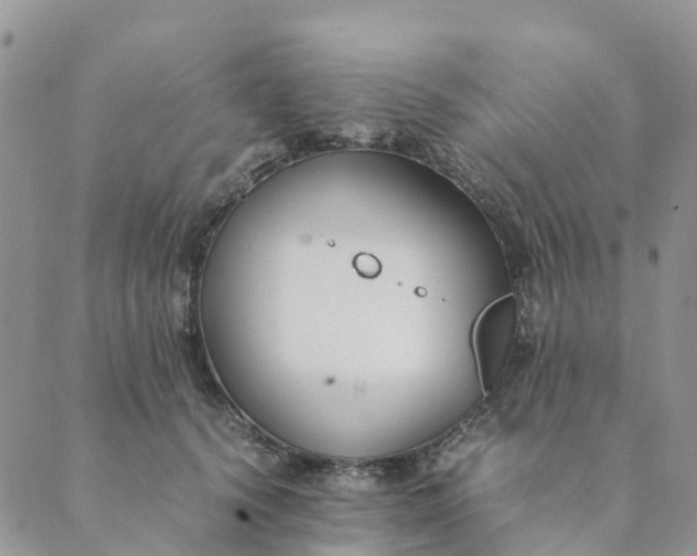 X0000089360656200707061050