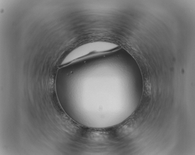 X0000089360657200707061050