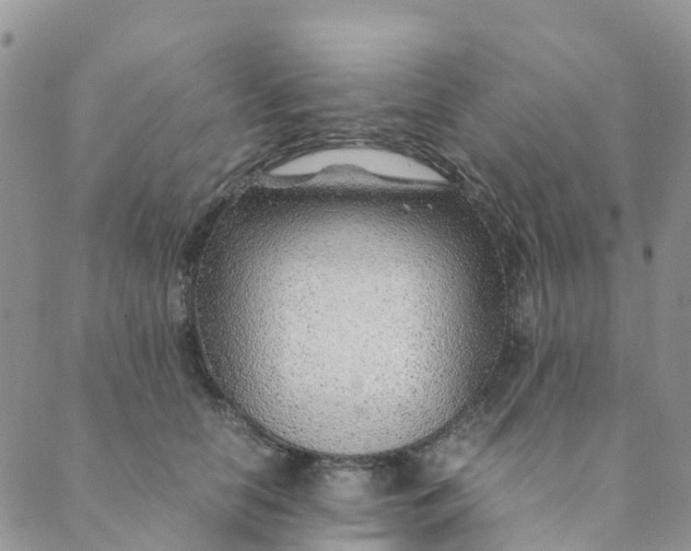 X0000089360658200707061050