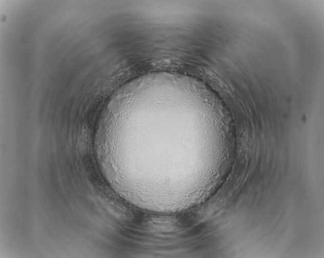 X0000089360659200707061050