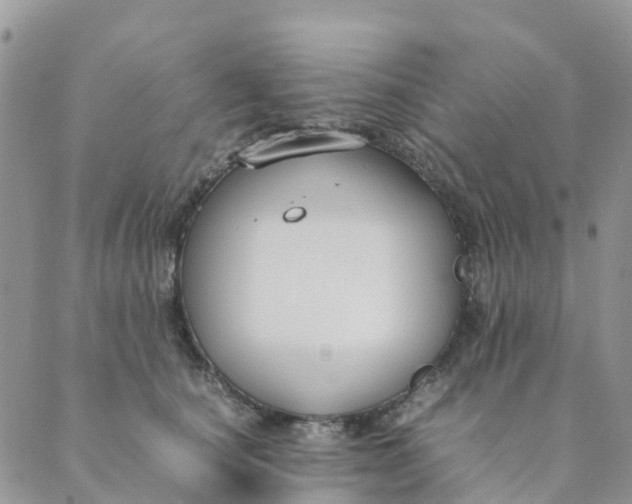 X0000089360660200707061050