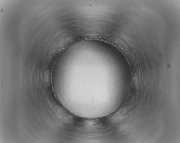 X0000089360662200707061051