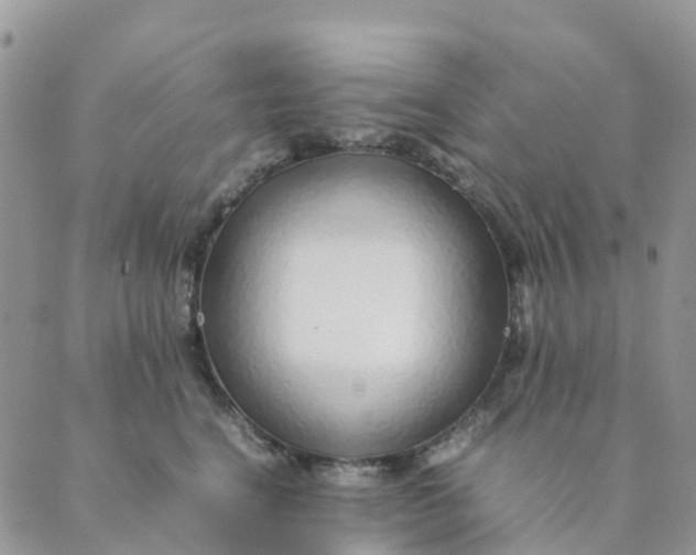 X0000089360664200707061051