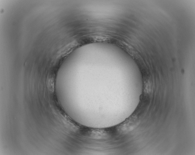 X0000089360666200707061051