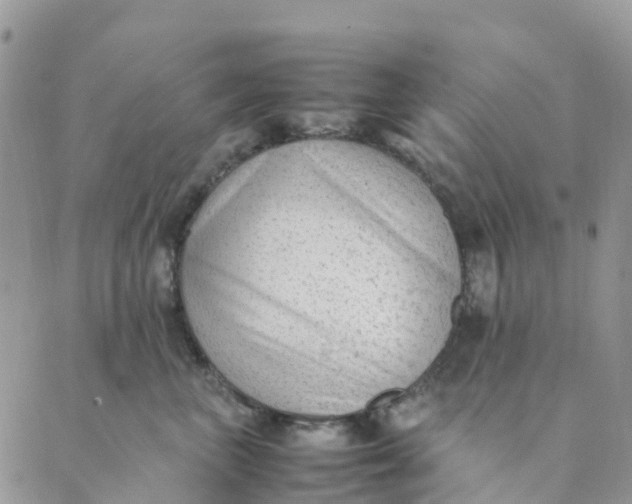 X0000089360667200707061051