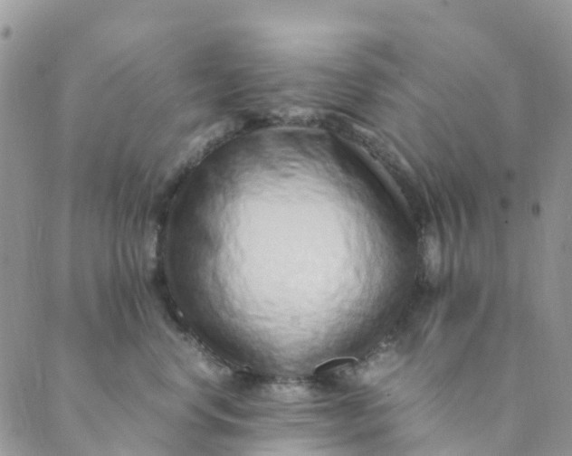 X0000089360668200707061051