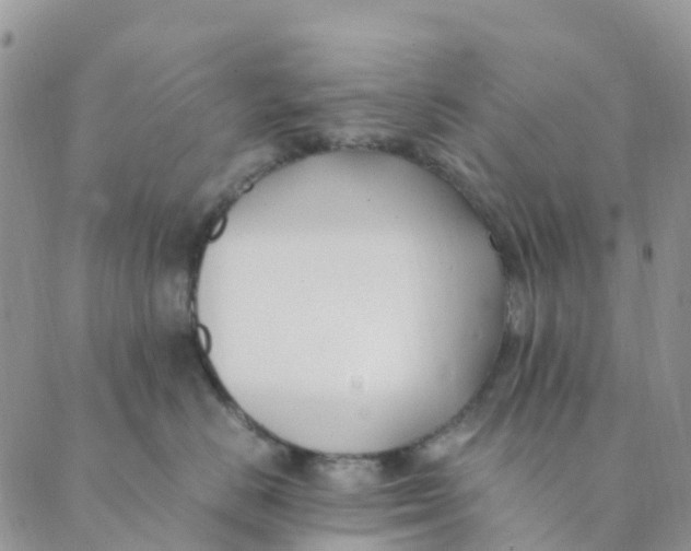 X0000089360670200707061051