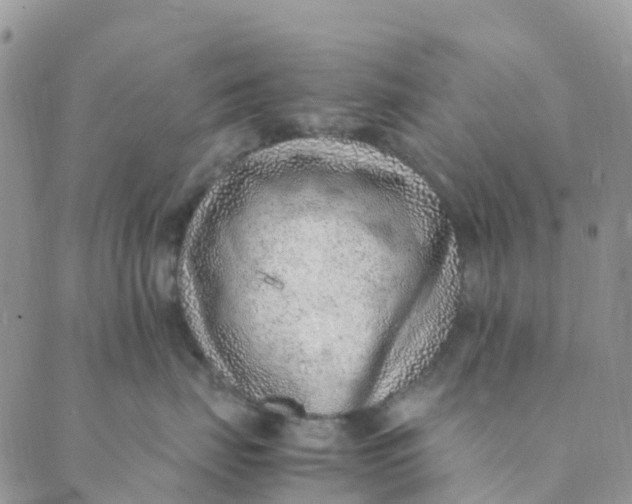 X0000089360671200707061051