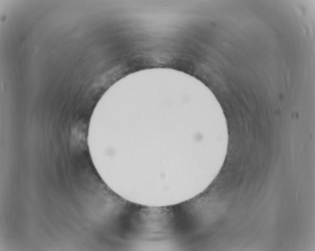 X0000089360672200707061051