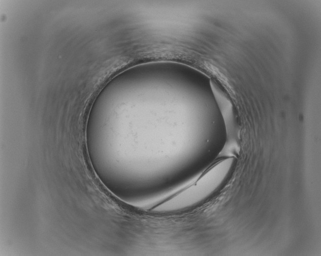 X0000089360673200707061050