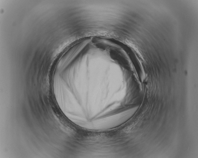 X0000089360674200707061050