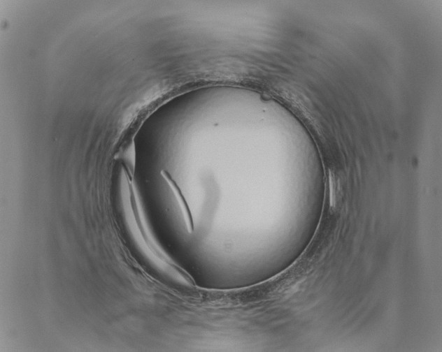 X0000089360675200707061050