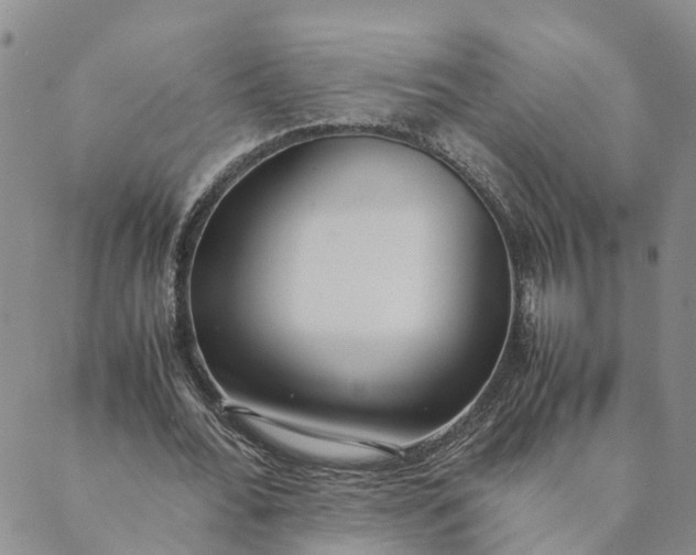 X0000089360676200707061050