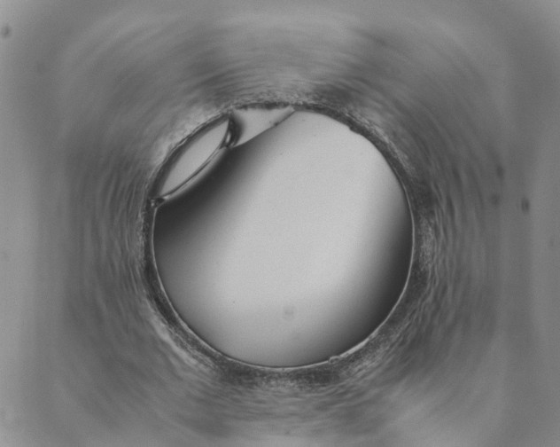 X0000089360677200707061050