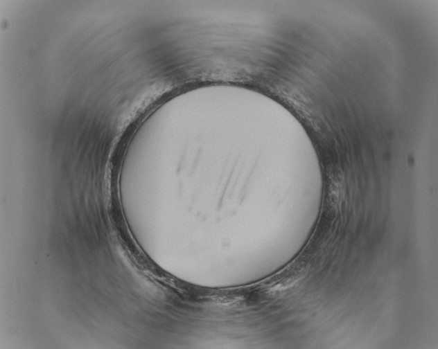 X0000089360678200707061050