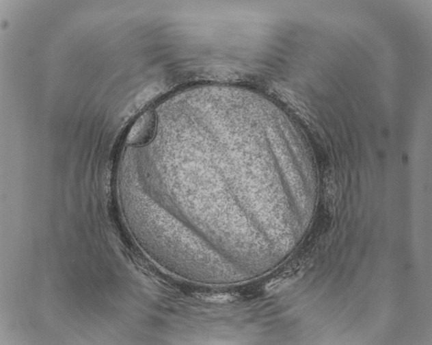 X0000089360679200707061050