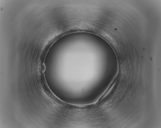 X0000089360680200707061050