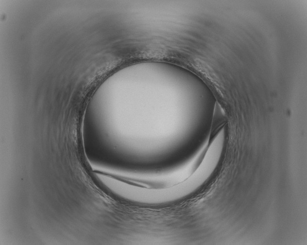 X0000089360681200707061050