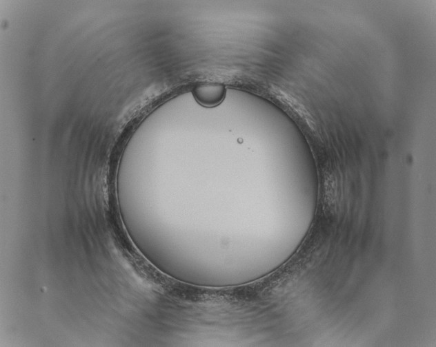 X0000089360682200707061050