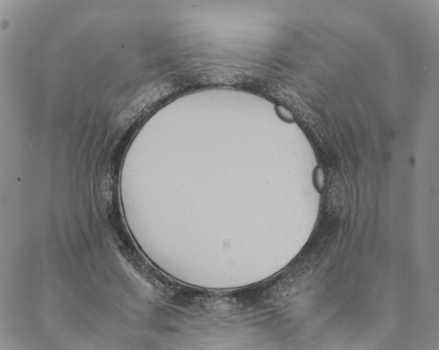 X0000089360683200707061050