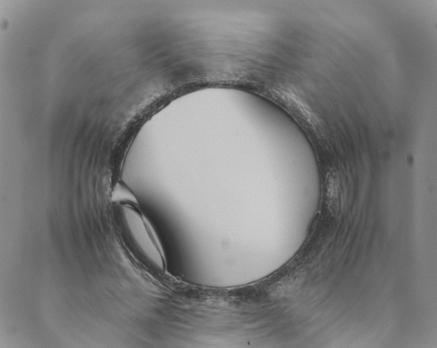 X0000089360684200707061050