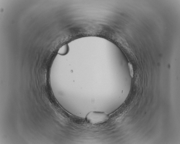 X0000089360685200707061050