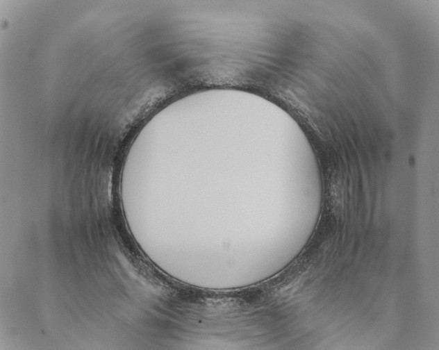 X0000089360686200707061050