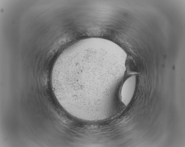 X0000089360687200707061050