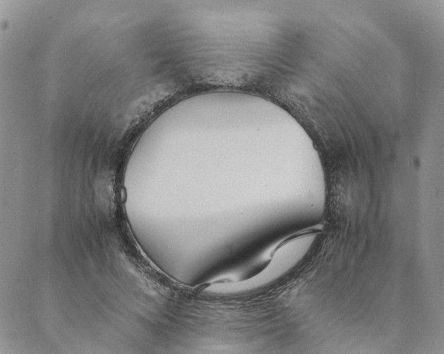 X0000089360688200707061050