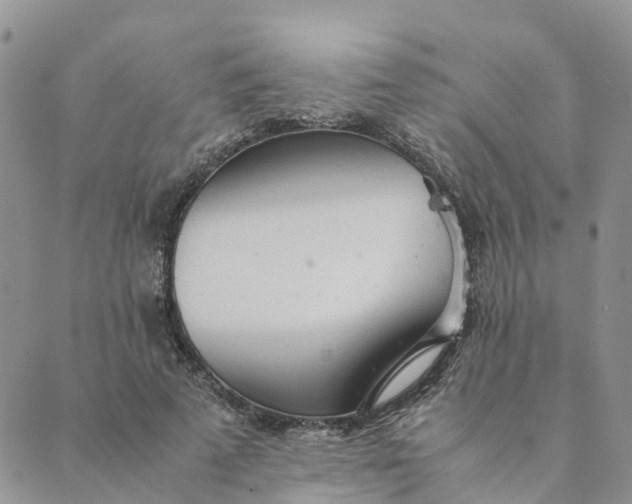 X0000089360689200707061050