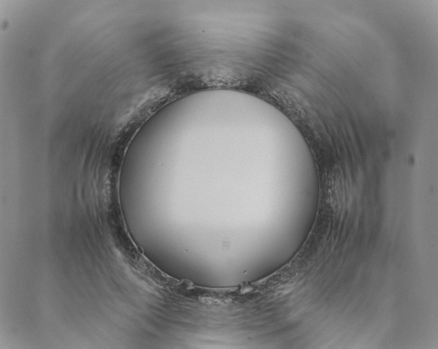 X0000089360690200707061050