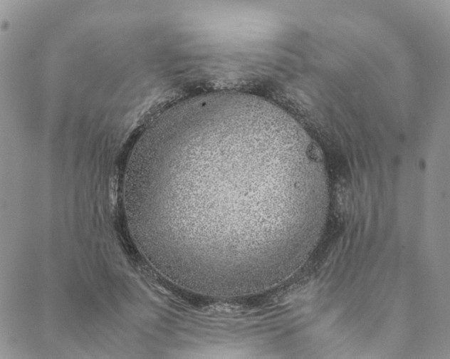 X0000089360691200707061050