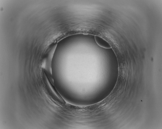 X0000089360692200707061050