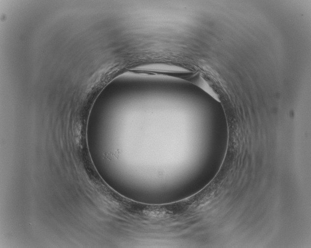 X0000089360693200707061050