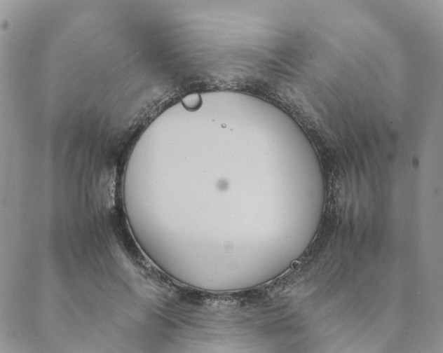 X0000089360694200707061050