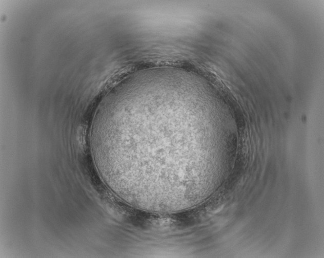 X0000089360695200707061050