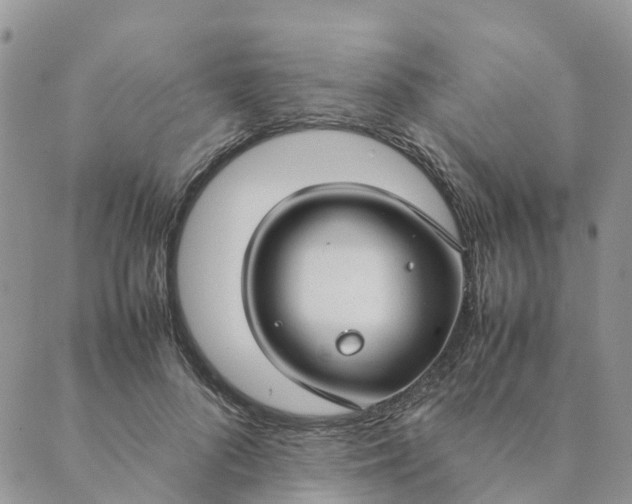 X0000089360696200707061050