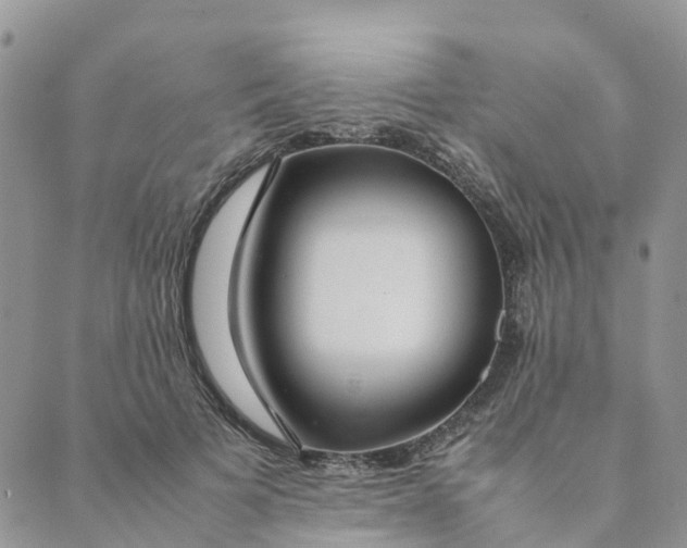 X0000089360697200707061050